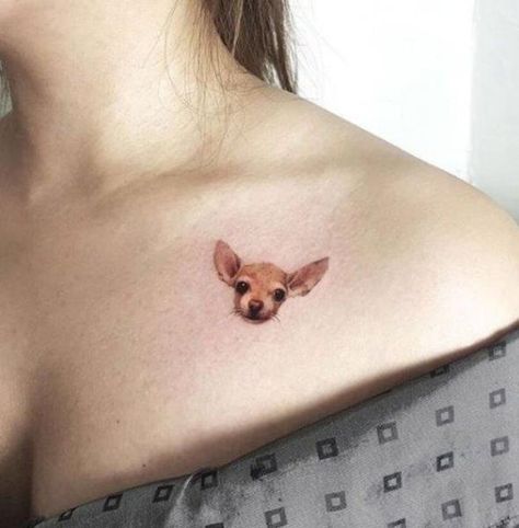 Chihuahua Tattoos, Cookie Tattoo, Chihuahua Tattoo, Best Tattoo Ever, Geniale Tattoos, Dog Tattoo, Dog Pin, Chihuahua Dogs, Dog Tattoos