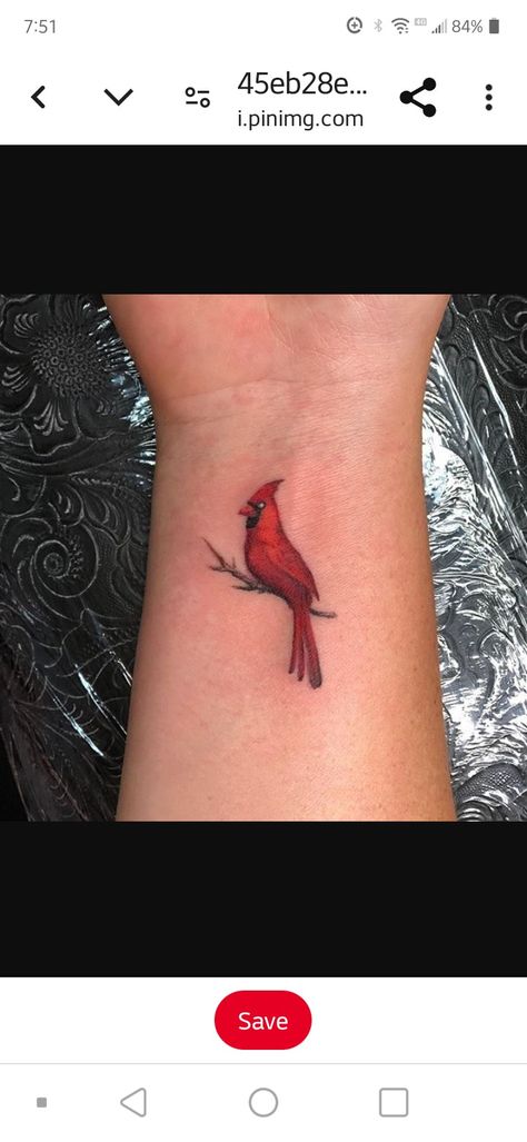 Cardinal Wings Tattoo, Red Bird Tattoos For Women, Small Cardinal Tattoos For Women, Small Cardinal Tattoo Memorial, Small Cardinal Tattoo, Blue Jay Tattoo, Bird Shoulder Tattoos, Cardinal Tattoo, Red Bird Tattoos