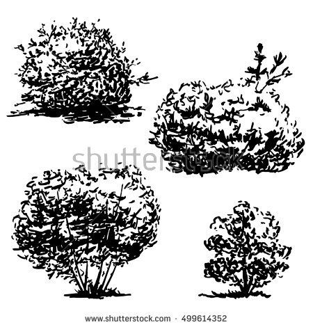 Shrubbery Drawing, Bush Drawing Pencil, Bush Reference, Impossible Drawings, Bushes Drawing, Bush Sketch, Bush Illustration, Bush Drawing, Grass Drawing