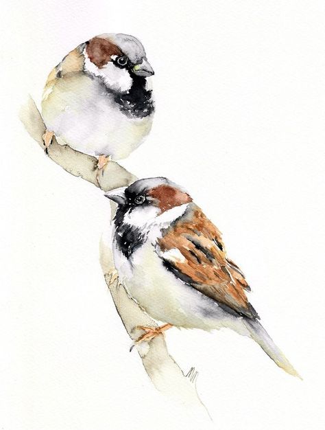 Bird Art & Artists | sparrows, watercolors | Facebook Sparrow Watercolor, Sparrows, Blue Heron, Watercolor Drawing, Watercolor Bird, Bird Art, Watercolor Paintings, Doodles, Birds