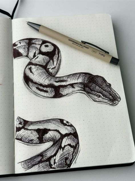 Snake Color Pencil Drawing, Sketch Of Snake, Drawing Ideas Snakes, Beginners Sketching Ideas, Manmade Objects Drawing, Drawing Ideas Easy Doodles Sketches Inspiration, Drawings Ideas Animals, Snake Pen Drawing, Snake Sketch Tattoo