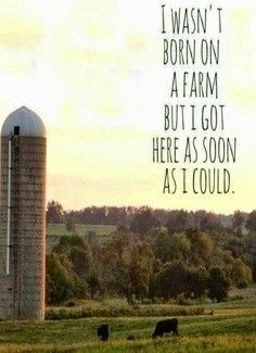 So sweet, so true. Agriculture Quotes, Farm Life Quotes, Farmer Quotes, 2 Word Quotes, Farm Quotes, Inspirational And Motivational Quotes, Country Quotes, Garden Quotes, A Barn