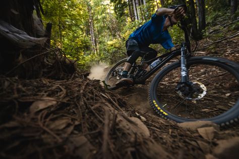 Giant Trance, Mountain Bike Action, California Trail, Wheel Design, Bike Trails, Suspension Systems, Bike Ride, Mountain Bike, Mountain Biking