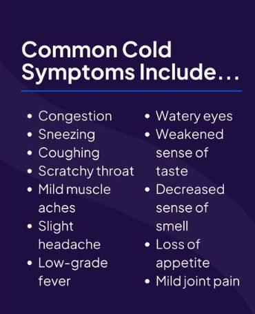 health & wealth, heathy tips, health care, health problems, healthy exercise, healthy food Cold Water Benefits, Common Cold Symptoms, Scratchy Throat, Chakra Chart, Watery Eyes, Cold Symptoms, Liquid Diet, Common Cold, Health Wealth