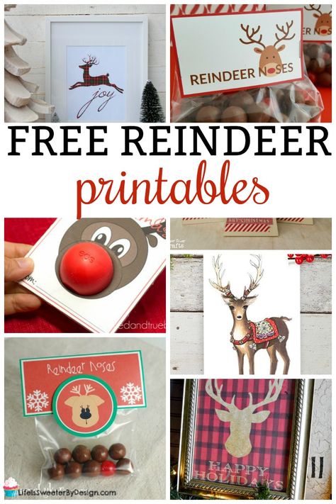 Free reindeer printables are fun and helpful. There are reindeer printable tags, reindeer food printable labels, reindeer art and more! #reindeer #freeprintables #printables #christmas Reindeer Food Label, Reindeer Food Printable, Reindeer Printable, Reindeer Art, Christmas Party Candy, Christmas Cookie Party, Reindeer Noses, Magic Reindeer Food, Free Printable Crafts