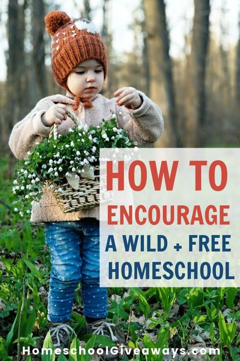 Do you want to keep the wonder in childhood? Embrace playtime and curiosity, nature and story? Maybe you want to trust your gut as a mother, even if all the experts are telling you otherwise. If this resonates with you, then you’ll want to learn how to encourage a wild + free learning environment in your homeschool. Wild + Free Homeschool, Wild And Free Homeschool, Family Read Alouds, Teaching Degree, Nature School, Homeschool Education, Study Ideas, Trust Your Gut, Free Homeschool