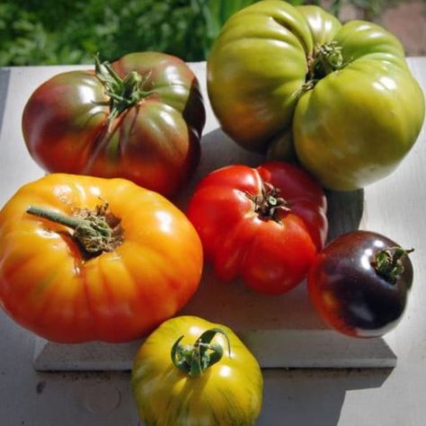 VEGETABLE GARDENING INSPIRATION. THIS YEAR’S PLANNING HAS BEGUN. | The Art of Doing Stuff Heirloom Tomatoes Varieties, Tomato Lentil Soup, Gardening Inspiration, Blah Blah Blah, Heirloom Vegetables, Peanut Butter Pie, Cauliflower Soup, Heirloom Tomatoes, Vegetable Gardening