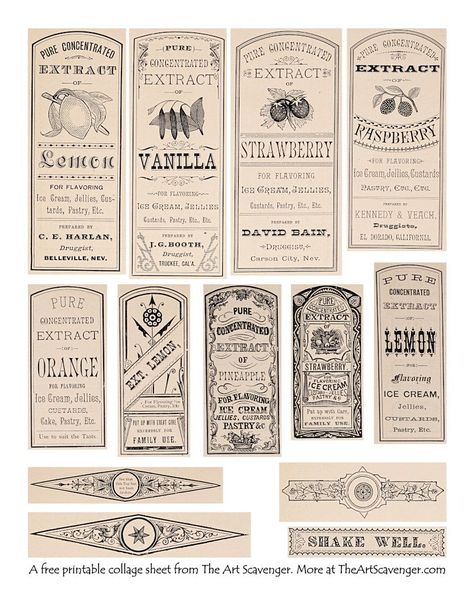 Journal Printables Templates, Vintage Labels Printables Free, Apothecary Design, Vintage Labels Printables, Notebook Labels, Printable Label Templates, Journal Labels, Scrapbook Printables Free, Papel Vintage