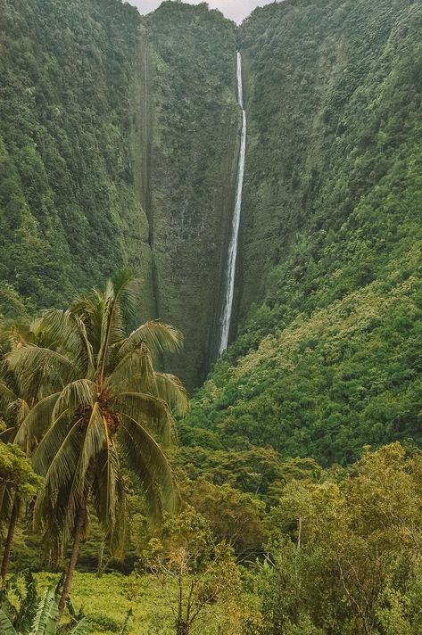 Best Hikes in Hawaii (15) Hikes In Hawaii, Greek Islands To Visit, Best Greek Islands, Corfu Island, Hawaii Volcanoes National Park, Visit Hawaii, Corfu Greece, Amalfi Coast Italy, Hawaii Vacation