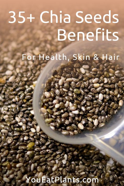 Are you looking for a nutrient-packed superfood to boost your health, skin and hair? Look no further than chia seeds! The tiny black and white seeds have an incredibly diverse range of health benefits, thanks to their high levels of essential fatty acids, protein, fiber and antioxidants. From helping to improve digestion to aiding weight loss, chia seeds should have an important place in anyone's diet. To learn more about the over 35 chia seeds benefits, visit post. Chia Seed Health Benefits, Benefits Of Chia Seeds, Benefits Of Chia, Improving Health, Chia Benefits, Seeds Benefits, Chia Seeds Benefits, Chia Seed Recipes, Healthy Food Menu