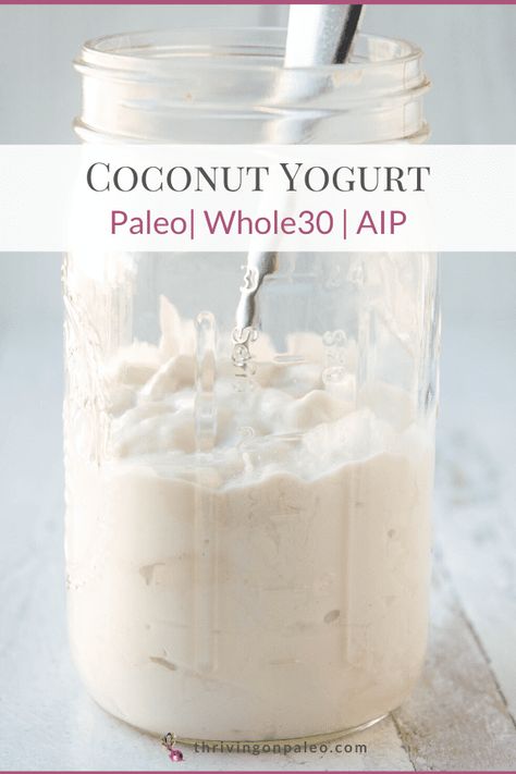 A creamy, thick, dairy-free coconut yogurt made from coconut milk will satisfy that desire for yogurt without making you sick if dairy is a problem! Super easy to make and Paleo, Whole30, AIP. Aip Condiments, Aip Keto, Aip Foods, Autoimmune Diet Recipes, Aip Diet Recipes, Aip Snack, Paleo Condiments, Aip Breakfast, Autoimmune Paleo Diet