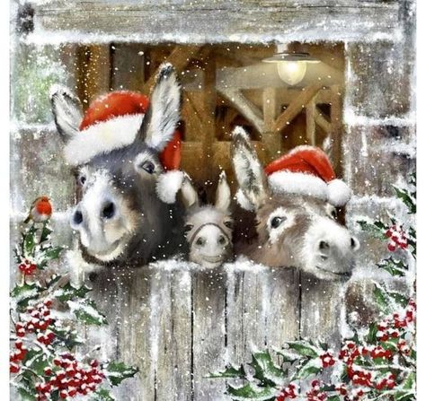 Lamb Photo, Contemporary Christmas Cards, Best Christmas Quotes, Mini Donkey, Charity Christmas Cards, Christmas Donkey, Christmas Horses, Xmas Wallpaper, Christmas Card Art