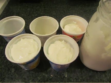 creative savv: Freezing yogurt to use as starter for future batches (or making yogurt for dirt cheap) How To Make Plain Yogurt Taste Good, Homemade Yogurt Without Starter, Freezing Yogurt, How To Sweeten Plain Greek Yogurt, Making Yogurt In Instant Pot Without Yogurt Button, Homemade Yogurt Starter Culture, Frozen Greek Yogurt, Thick Yogurt, Instant Pot Yogurt