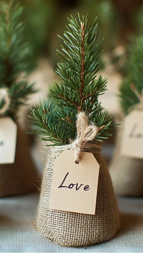 Mini pine tree saplings in rustic burlap bags with "Let love grow" tags, perfect for winter wedding favors. Potted Plant Wedding Favors, Christmas Rustic Wedding, Woodsy Wedding Favors, Pine Tree Wedding Decor, Let Love Grow Wedding Favors, Wedding Favor Ideas For Guests, Plant Wedding Favors, Wedding Tree Decorations, Evergreen Wedding