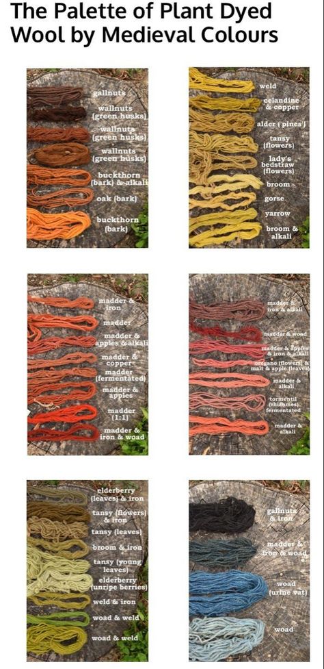 this is the color palette of medieval colors with plant based dye. Natural Dye Fabric, Colorful Clothes, Dye Colors, Have Inspiration, Plant Dyes, Nature Crafts, Historical Clothing, Art Tips, Bushcraft