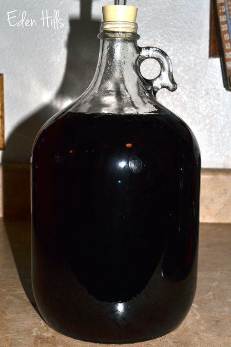 Blackberry mead Blackberry Mead, Mead Recipe, Site Map, My Nephew, Mead, Blackberry, This Weekend, My Blog, Berry