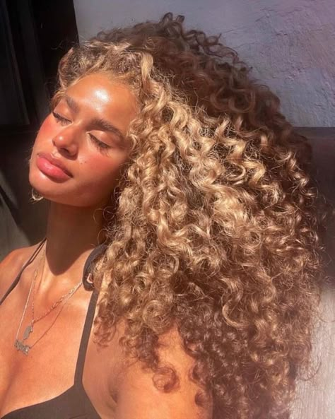 Dyed Curly Hair, Instagram Face, Highlights Curly Hair, Blonde Curly Hair, Colored Curly Hair, Curly Hair Inspiration, Curly Girl Hairstyles, Curly Hair Tips, Baddie Hairstyles