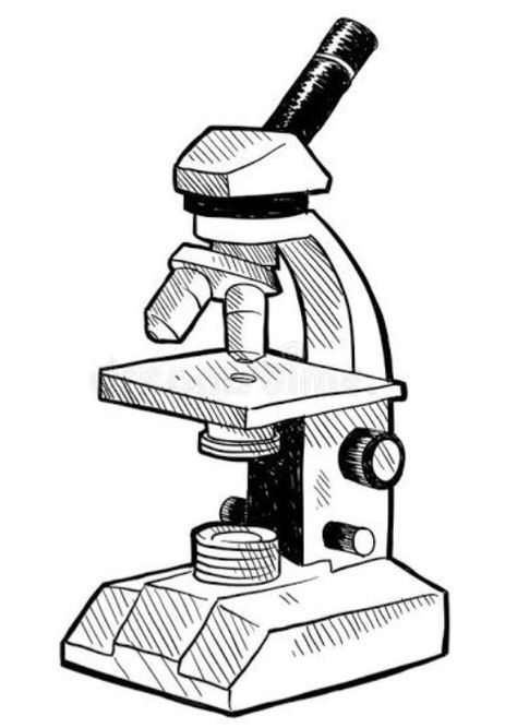 Fds Microscope Drawing, Biology Drawing, Scientific Drawing, Light Science, Creative School Project Ideas, Microscopic Images, Biology Art, Butterfly Art Painting, Doodle Style