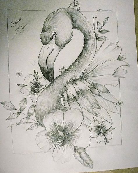 Flamingo Drawing Pencil, Flamingo Sketch, Flamingo Drawing, Pen Sketches, Xmas Drawing, Flamingo Flower, Swans Art, Flower Sketches, Phoenix Tattoo