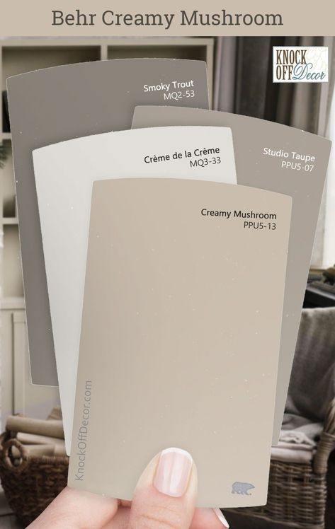 Behr Creamy Mushroom Review + My 30 Favorite Coordinating Color Palettes Check more at https://creativedecordesign.com/2024/06/28/behr-creamy-mushroom-review-my-30-favorite-coordinating-color-palettes/ Maybe Mushroom Paint Color, Creamy Grey Paint Colors Behr, White Taupe Paint Color, Light Taupe Color Palette, Coordinating Interior Paint Colors, Parisian Taupe Behr, Mocha Light Behr Paint, Taupe Color Palettes Kitchen, Behr Neutral Pink Paint Colors