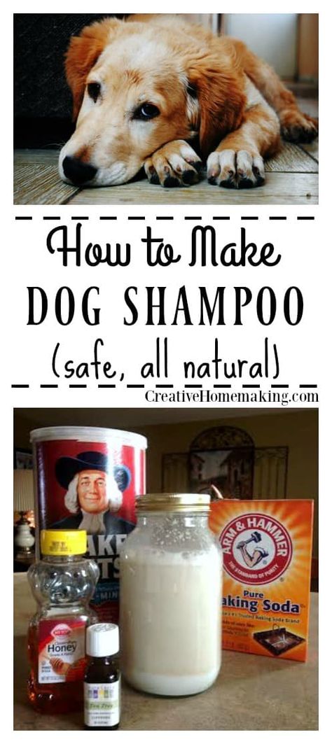 Easy all-natural dog shampoo that will leave your pet clean and smelling fresh and only costs pennies to make. Diy Non Toxic Dog Shampoo, Homemade Dog Shampoo For Itchy Skin, Dog Shampoo Recipe, Diy Dog Shampoo, Homemade Dog Shampoo, Natural Dog Shampoo, Deep Cleaning Hacks, Shampoo Recipe, Natural Shampoo