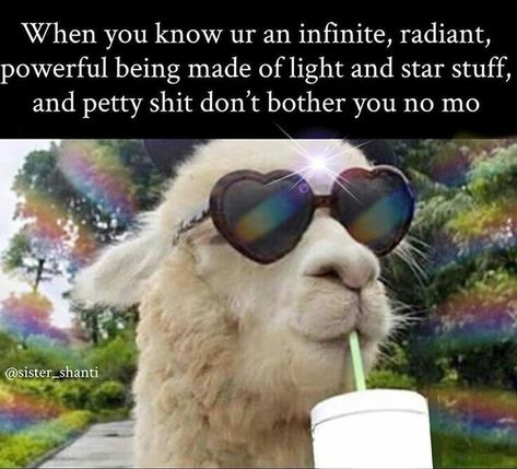 Being Of Light, God Wisdom, Consciousness Quotes, No Drama Llama, Positive Memes, Laughing Out Loud, Drama Llama, No Drama, Out Loud