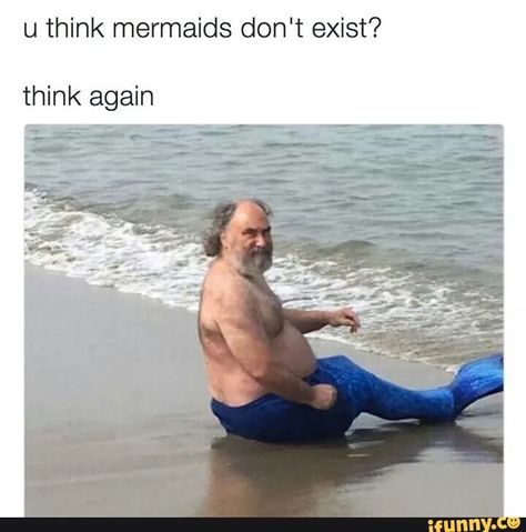 wOW THIS IS REAL PROOF MERMAIDS ARE REAL GUYS Make Em Laugh, Clean Humor, Aquaman, Tumblr Funny, Bones Funny, Best Memes, Dankest Memes, Funny Images, Make Me Smile