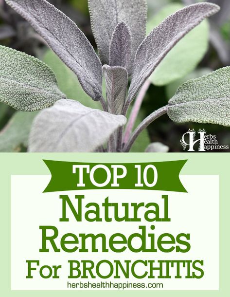 Remedies For Bronchitis, Natural Remedies For Bronchitis, Home Remedies For Bronchitis, Allergy Remedies, Healing Remedies, Health Ideas, Net Top, Healing Plants, Natural Antibiotics