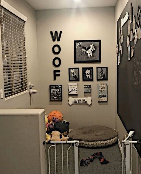 Dog Room Design, Dog Room Decor, Dog Bedroom, Puppy Room, Dog Corner, Baby Room Diy, Dog Room, First Apartment Decorating, Animal Room