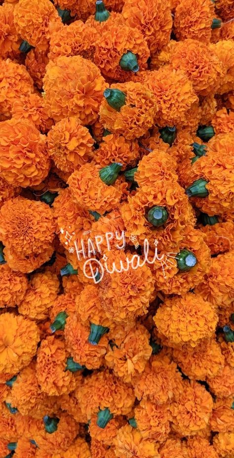 Genda fool✨ Diwali Morning Snap, Diwali Snap Story, Happy Diwali Snap, Happy Diwali Aesthetic, Rangoli Snap, Diwali Instagram Story Ideas, Happy Diwali Instagram Story, Diwali Rangoli Designs Beautiful, Diwali Photo Ideas