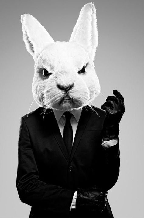 "Yeah. I got yer eggs right here, pal." Animal Heads, 영감을 주는 캐릭터, White Rabbit, Pics Art, Prince Charming, Suit And Tie, 귀여운 동물, Alice In Wonderland, Animal Art