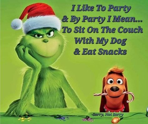 Grinch Memes, Sister Bond Quotes, Grinch Images, Grinch Stuff, Grinch Quotes, Funny Day Quotes, Mr Grinch, Grinch Christmas Decorations, Christmas Memes