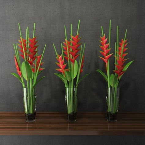 simple tropical heliconias table arrangements Heliconia Arrangement, Flower Fans, Tropical Centerpieces, Contemporary Flower Arrangements, Picture Arrangements, Tropical Floral Arrangements, Tropical Flower Arrangements, Table Arrangements Wedding, Flowers Tropical