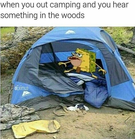 Caveman Spongebob, Beautiful Woman Quotes, Bob Meme, Beautiful Women Quotes, Pineapple Under The Sea, Getting Back In Shape, Camping Humor, Spongebob Memes, Funny Picture Quotes