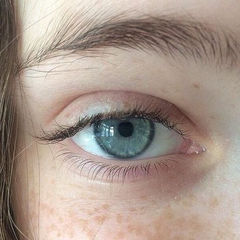 natural or 'instagram' eyebrows? 🦋  - sere Feyre Archeron, Beautiful Eyes Color, Windows To The Soul, Eye Photography, Aesthetic Eyes, Human Eye, Blue Eye, The Society, Pretty Eyes