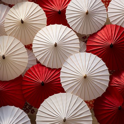 Red And White Aesthetic, Winter Moodboard, Chinese Umbrella, Japanese Umbrella, Red Umbrella, Nezuko Kamado, Tea Garden, White Aesthetic, Ipad Wallpaper