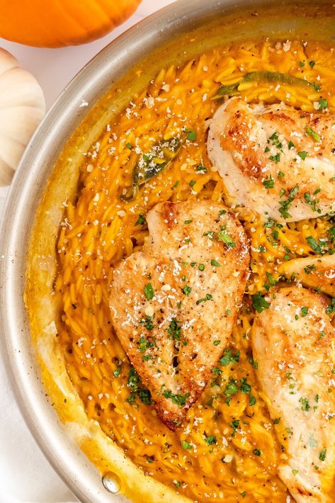 Pumpkin White Wine Orzo with Chicken - Once Upon a Pumpkin Pumpkin Orzo, Orzo With Chicken, Pumpkin Appetizers, Canned Pumpkin Recipes, Chats Recipe, Chicken Pumpkin, Pumpkin Breakfast, Fall Fun Food, Savory Pumpkin Recipes