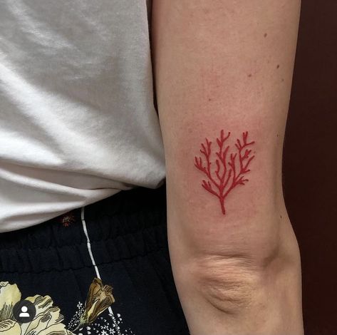 Coral Tattoo Color, Ocean Inspired Sleeve Tattoo, Small Coral Tattoo, Coral Tattoo Simple, Corals Tattoos, Sea Coral Tattoo, Seaweed Tattoo Design, Algae Tattoo, Coral Tattoos