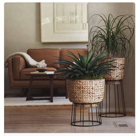 Basket Planters, Plant Decor Indoor, Deco Boheme, House Plants Decor, Home Decor Living Room, Decor Home Living Room, Decor Minimalist, Decor Living Room, Ideas Home