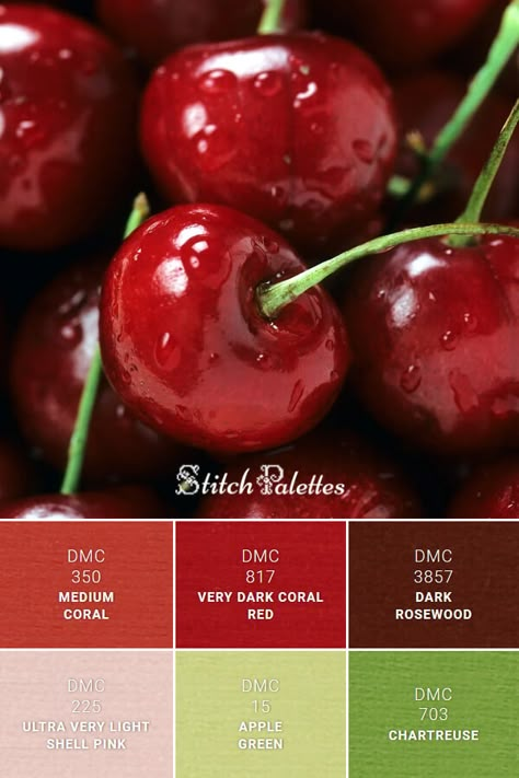 Dmc Color Palette Red, Red And Green Color Scheme, Pink Red Green Color Palette, Apple Green Color Palette, Apple Color Palette, Red Green Color Palette, Cherry Color Palette, Chartreuse Palette, Stitch Palettes