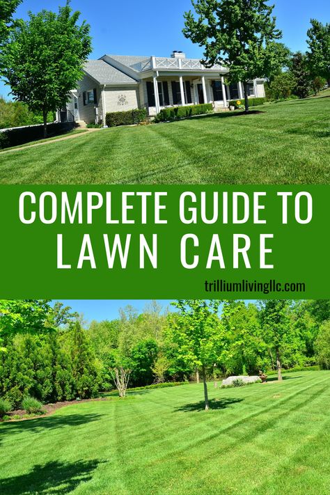 Backyard Envy, Pergola Pictures, Aerate Lawn, Lawn Care Tips, Healthy Lawn, Yard Care, Lawn Edging, Beautiful Yards, Green Lawn