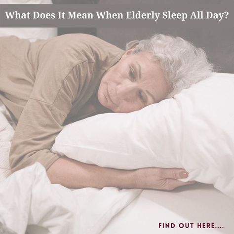 Find here the hidden reasons why they are sleeping too much. Sleep Faster, Sleeping A Lot, Retirement Living, Sleeping Too Much, Sleeping All Day, How To Sleep Faster, People Sleeping, Too Much, Bean Bag Chair