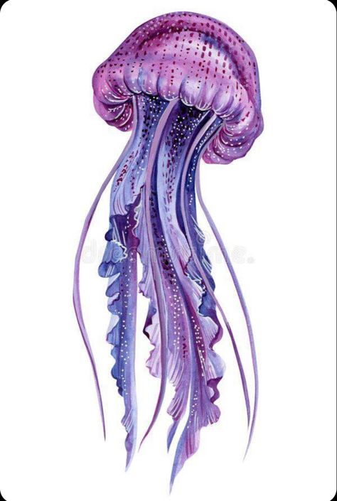 Purple Jellyfish, Pikachu Tattoo, Her Tattoo, One Tattoo, Jellyfish Painting, Pink Jellyfish, Jellyfish Drawing, Jellyfish Tattoo, Sea Life Art