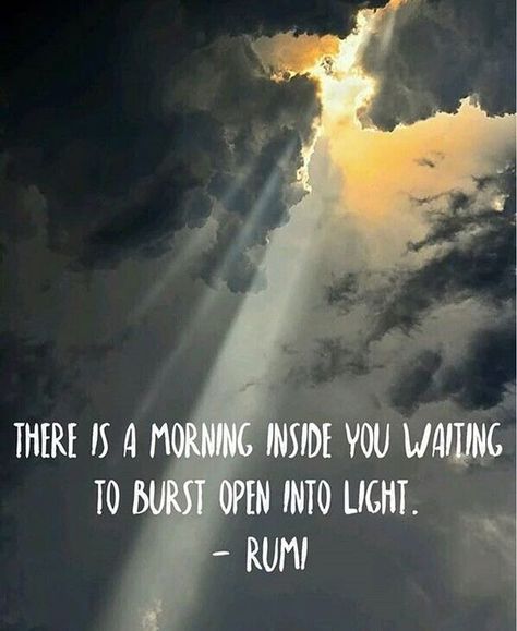 The wisdom of Rumi Rumi Poetry, Rumi Love Quotes, Rumi Love, Sufi Poetry, Rumi Quotes, Morning Light, Poetry Quotes, Rumi, Spiritual Quotes