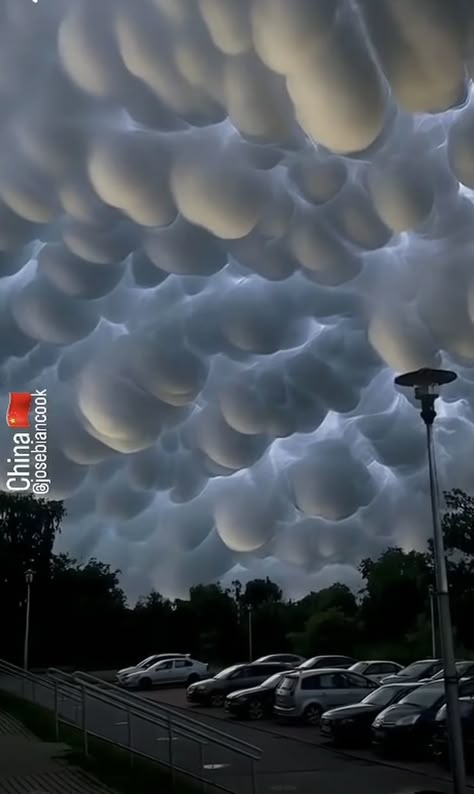 Rare Clouds, Undulatus Asperatus, Creepy Background, Types Of Cloud, Cloud Magic, Mammatus Clouds, Dreamy Clouds, Creepy Backgrounds, Weather Cloud