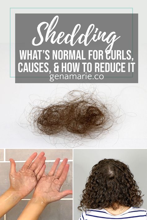 Why Does My Hair Fall Out, Thinning Curly Hair, Natural Hair Fall, 3a Curls, Denman Brush, Curly Hair Tutorial, Hair Shedding, Curly Girl Method, Curly Hair Routine