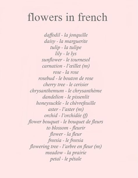 flowers in french Flowers In French, Flower Language Aesthetic, French Flowers Name, Pretty French Sayings, Pretty Phrases In French, Pretty French Words, Cute French Words, Victorian Language Of Flowers, French Words With Meaning