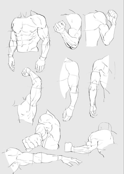 Arm Anatomy, Hand Poses, Human Anatomy Drawing, Human Anatomy Art, Anatomy Sketches, Body Reference Drawing, Body Anatomy, Anatomy Drawing, Digital Painting Tutorials