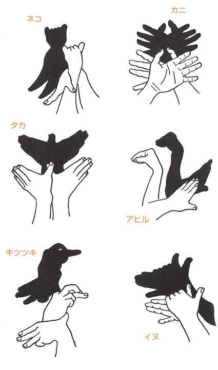 Cat Shadow Puppet, Shadow Puppets With Hands, Shadow Activities, Cat Shadow, Hand Shadows, Pantomime, Scrapbook Book, Preschool Art Activities, Shadow Art