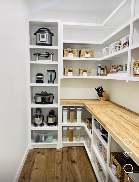 Walk In Pantry Ideas, Pantry Renovation, Pantry Closet Design, Pantry Layout, House Pantry, Pantry Laundry Room, Desain Pantry, Pantry Room, Pantry Remodel